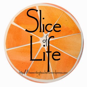 Be sure to check out more slices at Two Writing Teachers.