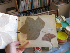 original leaf book 2