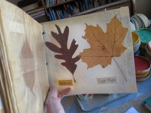 original leaf book 3